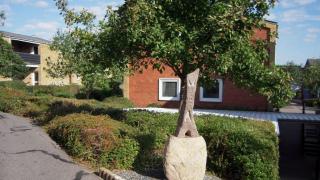 department-image-33