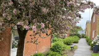 department-image-32