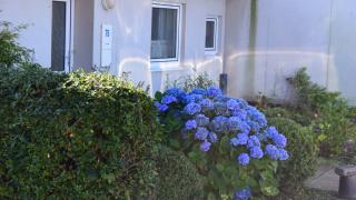apartment-type-image-5