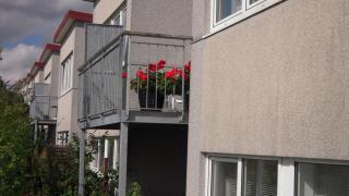 apartment-type-image-19