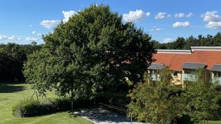 department-image-3