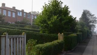 apartment-type-image-8
