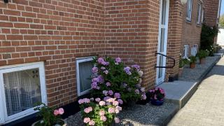 department-image-11