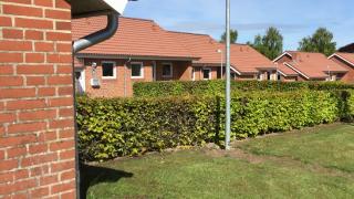 department-image-5