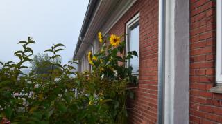 apartment-type-image-3