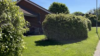 department-image-3